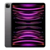 Apple iPad Pro 12.9 (6th Gen) M2 Chip 256GB ROM WiFi + Cellular (5G) Space Grey (MP603LL/A) 1 Year Warranty